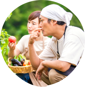 農業従事者の男性と女性が畑でトマトの育ち具合を確認している